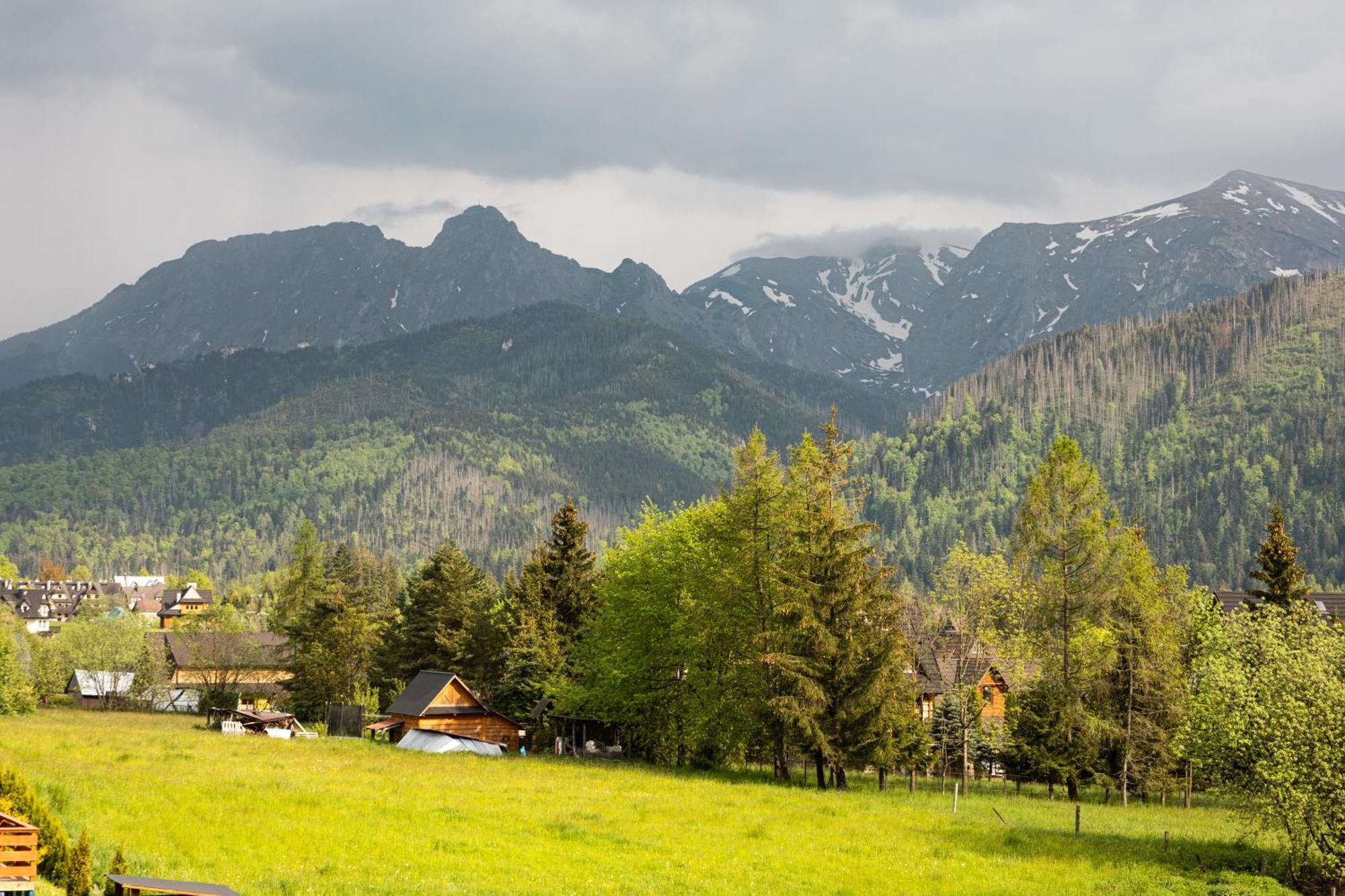 Zielony Szlak Kościelisko Exterior foto